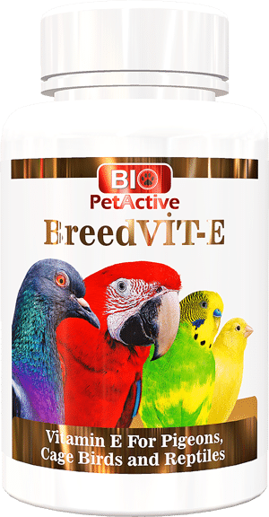 Breedvit-E 70gm