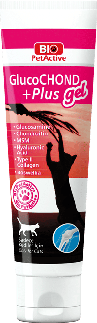 Glucochond Plus Gel 100ml